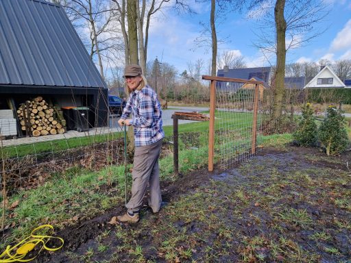 Aanleg erfafscheiding met klimop