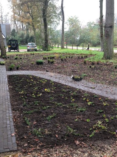 Inplanten van een voortuin met inheemse bosrandplanten.