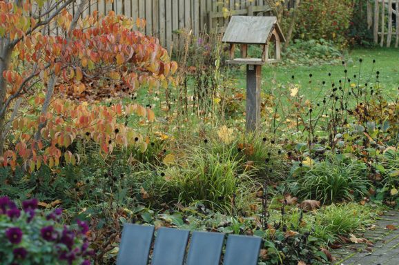 Gelaagdheid van beplanting en visueel aantrekkelijk door zichtassen en doorkijkjes.